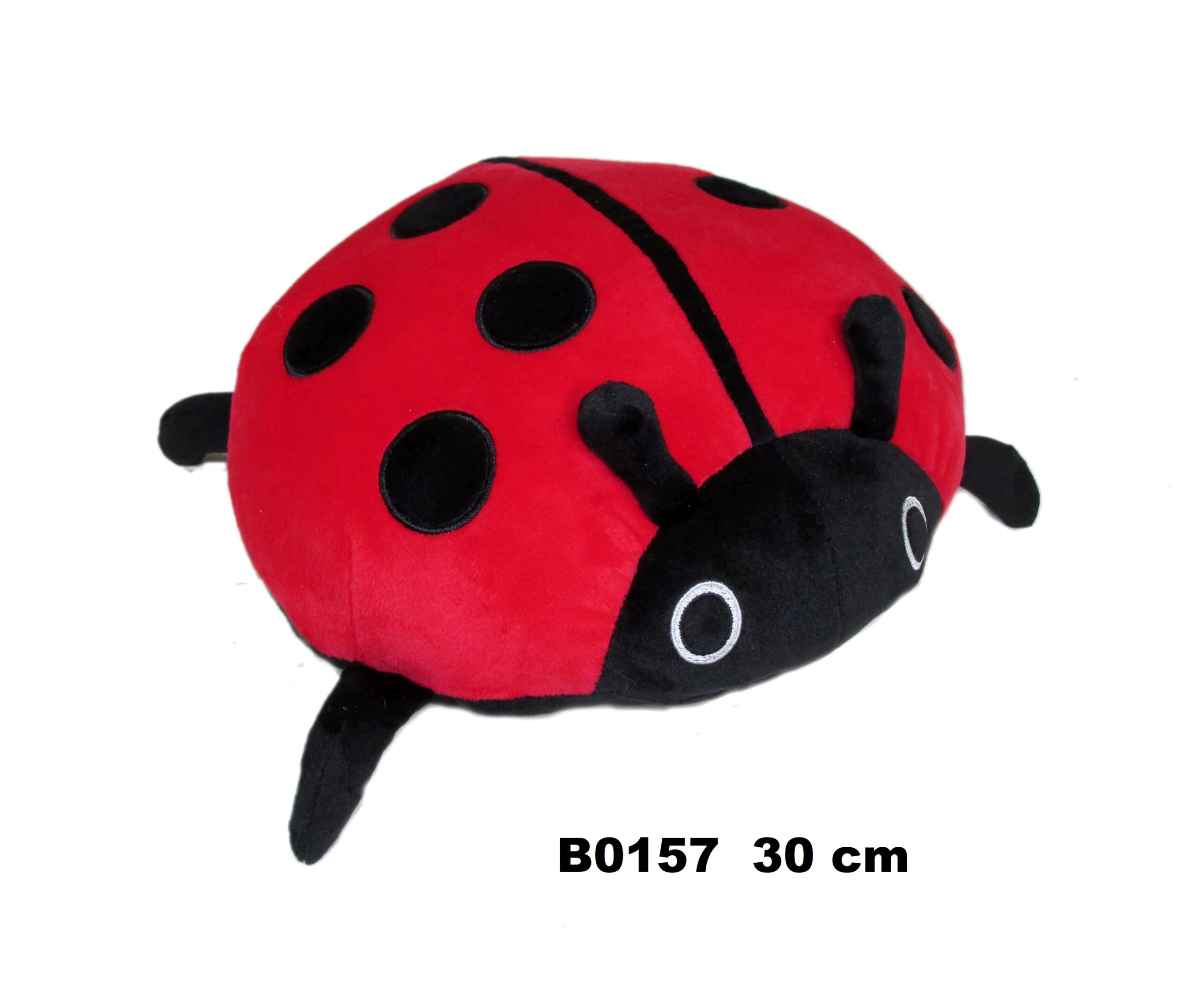 Bubamara 30CM 162717