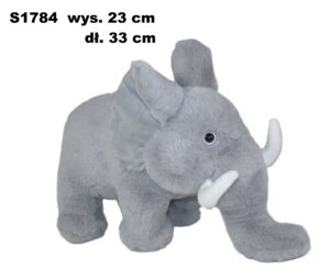 Slon 172877